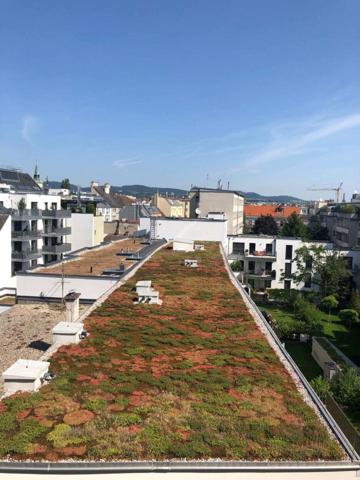 Vienna Sunny Side Up Apartments المظهر الخارجي الصورة